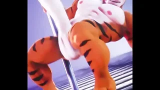 Gay Porn 6